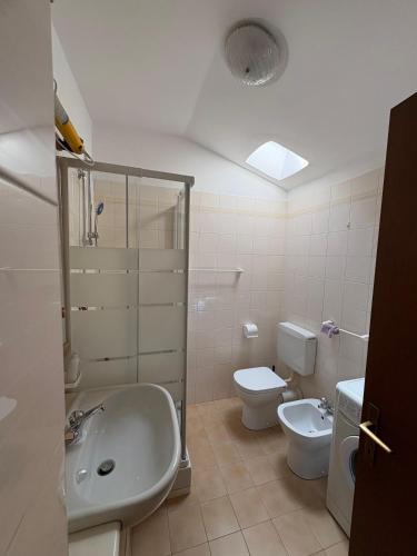 Un baño con lavabo, inodoro y ducha. en The Blue Window, en Desenzano del Garda