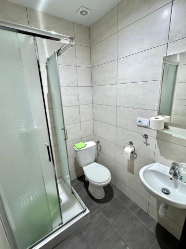 a bathroom with a shower and a toilet and a sink at POD BOROWIKIEM in Grzybowo