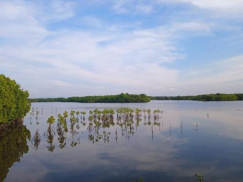 Ảnh trong thư viện ảnh của River Lounge Resort ở Kundapur