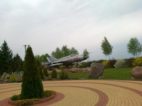 a plane is sitting on a field in a garden at Skrzydlate Ranczo in Włodawa