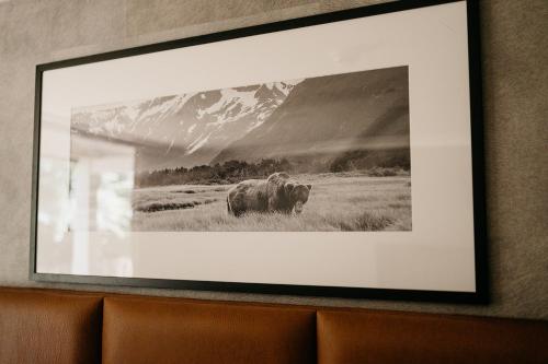 a framed picture of a buffalo in a field at Badhotel Rockanje in Rockanje