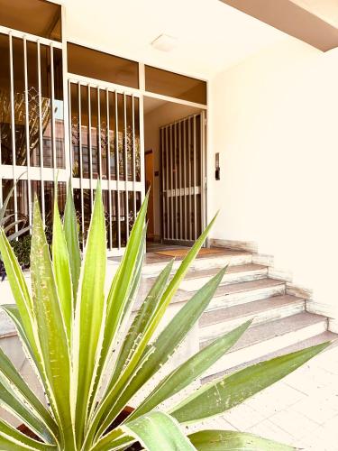 a plant in front of a building with stairs at Il Giardinetto - Guest Room Policlinico in Messina