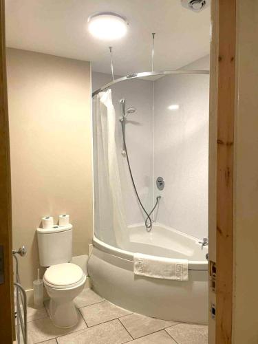 a bathroom with a shower and a toilet and a tub at McCaig's Tower Apartment in Oban