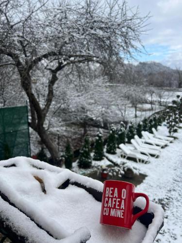 a red coffee cup sitting in the snow next to a garden at Camere de închiriat Trandafirilor 