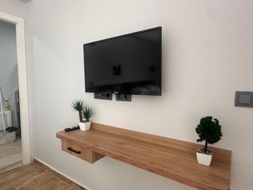 a flat screen tv hanging on a wall with two plants at Avka Palace in Edirne