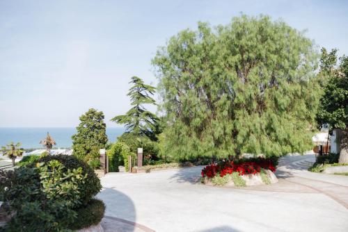 a large tree in a park with red flowers at Casa Ferretti di Ferretti Village in Silvi Marina