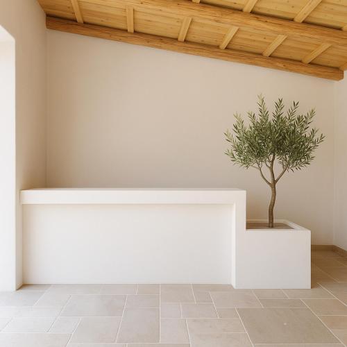 a white bench with a tree in a room at Silenza B&B, Charme, Comfort e Relax nel Gargano in Mattinata