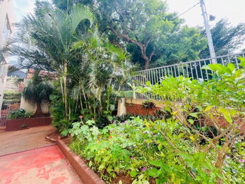Jardín al aire libre en Frere Hill Guesthouse