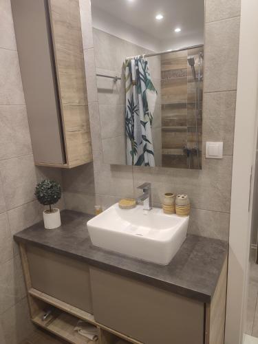 a bathroom with a sink and a mirror at Privat Studio Milmari in Kopaonik
