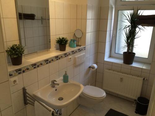 baño con lavabo y aseo y ventana en Citywohnungen Halle Saale, en Halle an der Saale