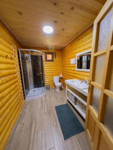 a bathroom with a shower and a toilet and a sink at Casa Valea Râului Vârciorog in Vîrciorog