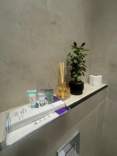a shelf with cups and a potted plant on it at أكابر in Jeddah
