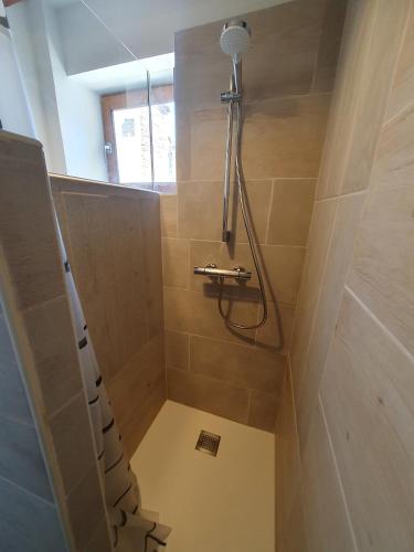 a walk in shower with a shower head in a bathroom at La Trame Bourguignonne - Centre ville in Auxerre