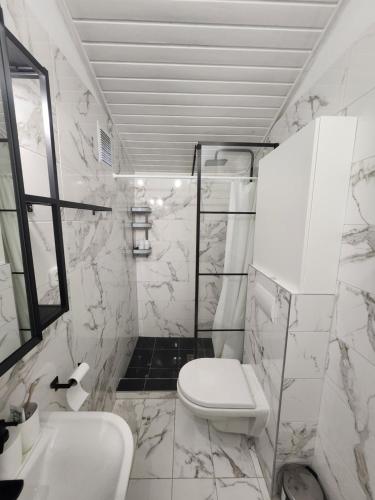 a white bathroom with a toilet and a sink at Lake Horizon in Balatonfüred