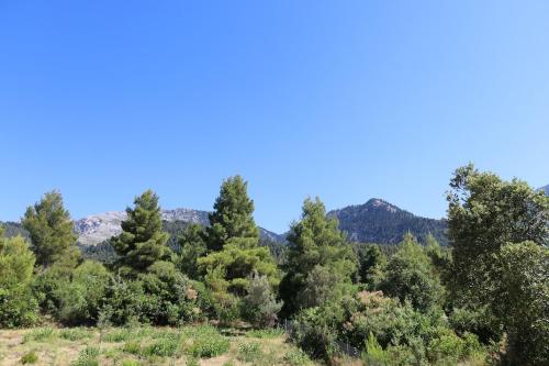 a forest of trees with mountains in the background at Kritharistra Home in Vlakhiá