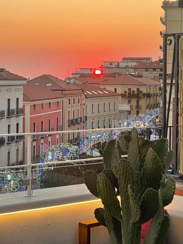 a cactus sitting on a ledge with a view of a city at La Pennichella Vista Veneto in Agropoli