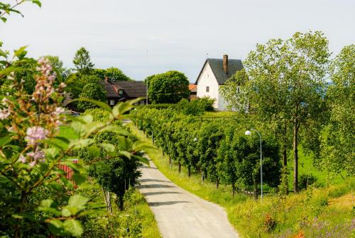 a road through a vineyard with a house and trees at Granavolden Hotel & Gjæstgiveri in Gran