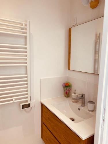 a bathroom with a sink and a mirror at Le Nid des Charmettes in Saint-Josse