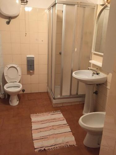 a bathroom with a shower and a toilet and a sink at Hotel Euro in Genoa