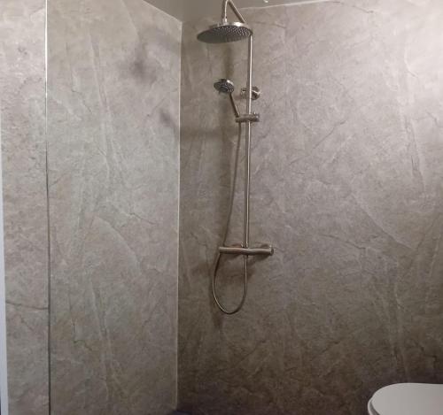 una ducha en un baño con puerta de cristal en Studio Waterland, en Ooltgensplaat