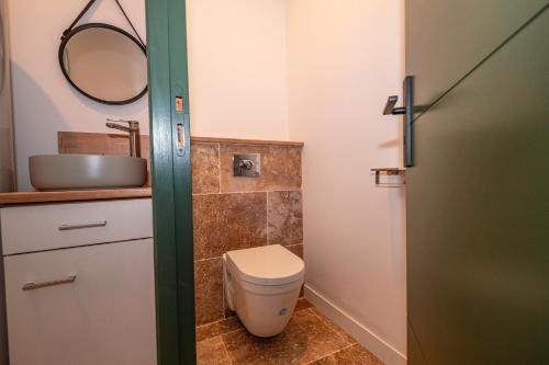 a bathroom with a toilet and a sink and a mirror at Gîte des Roussèles - Climatisation, Spa, jardin in Gaillac