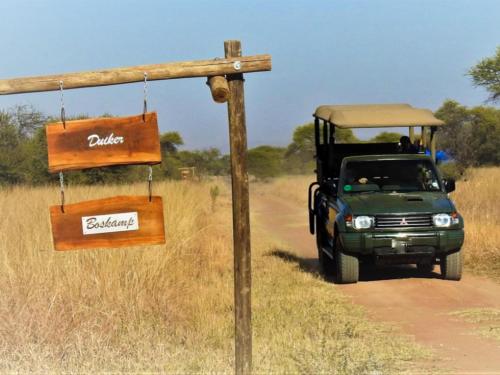a green jeep driving down a dirt road at Witgatboom Boskamp in Naboomspruit