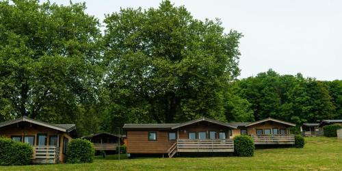 a row of cottages in a field with trees at Vallée Les Etoiles in Blaimont