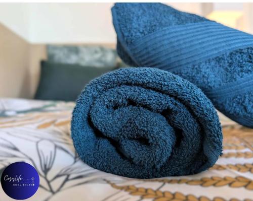 ein blaues Handtuch auf dem Bett in der Unterkunft L'Oasis by Cozylife - Centre Ville in Niort