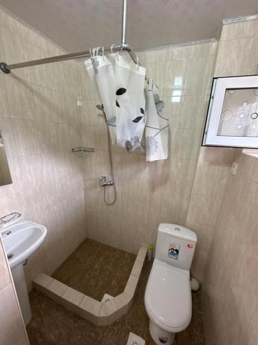 a bathroom with a toilet and a sink at Jany Tilek in Bosteri