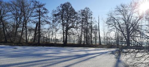冬のJagielas im Erlichthofの様子