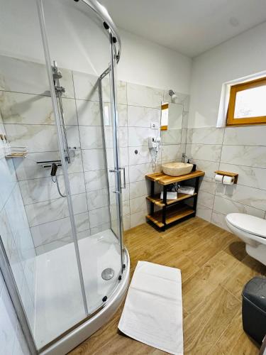 a bathroom with a shower and a toilet and a sink at Stara Žaga in Bled