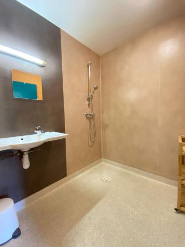a bathroom with a shower and a sink at LE BUFADOU - Gîte Auberge - in Laveissière