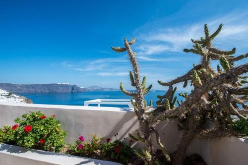 Splendid Santorini Villa 1 Bedroom Villa Princess Outdoor Hot