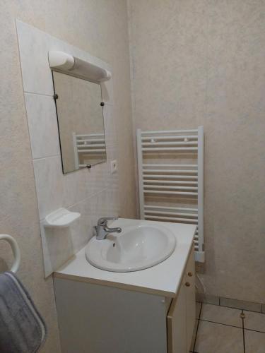 łazienka z umywalką i lustrem w obiekcie Appartement de ville w mieście Parthenay
