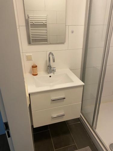 a bathroom with a sink and a shower at Cozy and best location! 6 person in Rotterdam