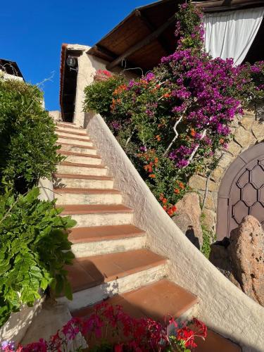 a set of stairs with flowers in front of a house at Hotel Don Diego in Porto San Paolo