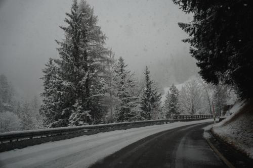 a snow covered road with trees on the side at Jugendherberge Bayrischzell-Sudelfeld in Bayrischzell