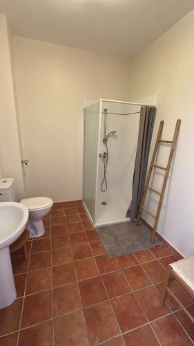 a bathroom with a shower and a toilet at Gîte U Saltu in Solaro