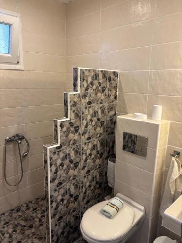 a bathroom with a toilet and a shower at Victoria's Blue studios in Siviri