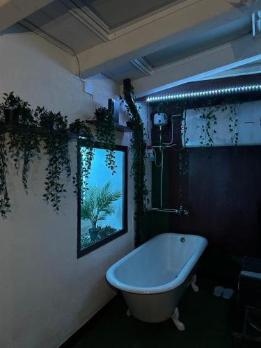 baño con bañera y ventana con plantas en Oasi Del Desiderio, en Verona