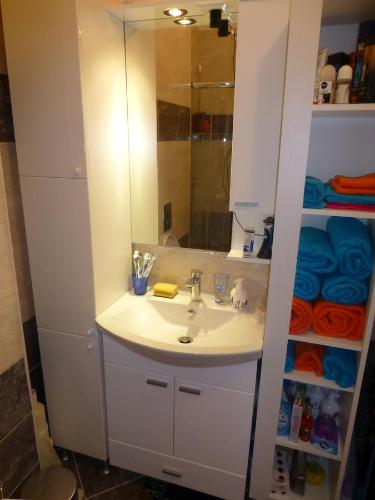 Koupelna v ubytování Appartement Zagi