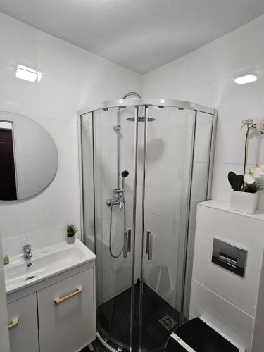 a bathroom with a shower and a sink at Radu's Room in Curtea de Argeş