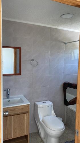 a bathroom with a white toilet and a sink at Pelli in Parral