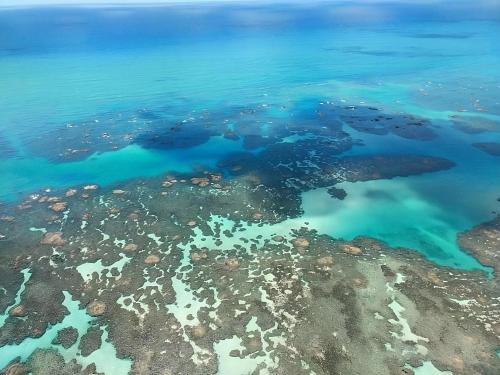 Fotografie z fotogalerie ubytování Proxima Estacion Hostel v destinaci Maceió