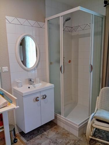 a bathroom with a shower and a sink and a mirror at Chambre Romance in Pajay