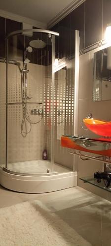 Luxury apartment SIRENA 1 Centre Netflix