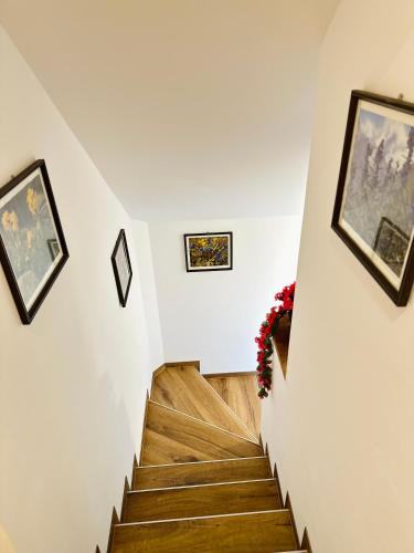 a staircase in a house with paintings on the walls at Stara Žaga in Bled