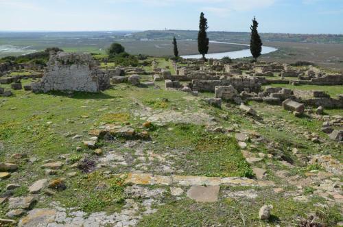 ancient ruins on a hill with trees and a body of water at Fluture in Larache