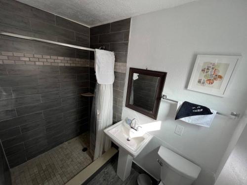 a bathroom with a toilet and a sink and a shower at Privet Studio 10 Min To Beach - 17 in Clearwater
