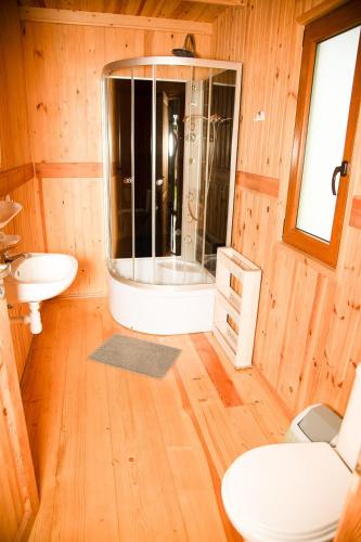 a bathroom with a shower and a toilet and a sink at Domki Letniskowe Bursztynek in Grzybowo